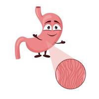 Cartoon cute stomach character. Concept healthy internal organ. Vector illustration