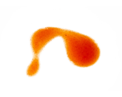 Orange sauce isolated for food element png