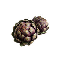 alcachofra fresca planta vegetal violeta close-up, conceito de dieta orgânica de alimentos crus, traçado de recorte png