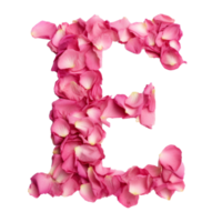 lettera e a partire dal rosa petali. png