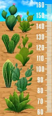 Kids height chart ruler with cactus succulents
