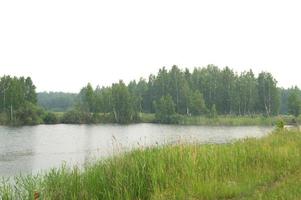 Panoramic landscape of pond in morning fog photo