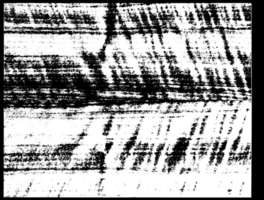 Grunge border texture background. Abstract frame overlay. PNG graphic illustration with transparent background.