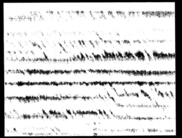 grunge gräns textur bakgrund. abstrakt ram täcka över. png grafisk illustration med transparent bakgrund.