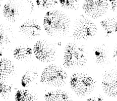 Rustic grunge texture with grain and stains. Abstract noise background. PNG graphic illustration with transparent background.