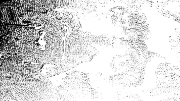 Grunge dots and points texture background. Abstract grainy overlay. PNG graphic illustration with transparent background.