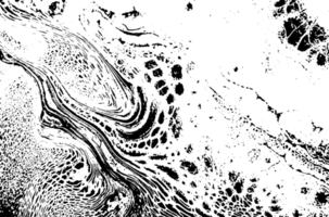 Rustic grunge texture with grain and stains. Abstract noise background. PNG graphic illustration with transparent background.