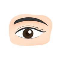 yeux Humain corps partie dessin animé illustration png