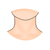 cuello humano cuerpo parte dibujos animados ilustración png