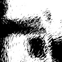 rustik grunge textur med spannmål och fläckar. abstrakt ljud bakgrund. png grafisk illustration med transparent bakgrund.