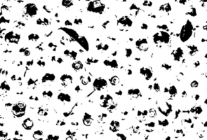 Rustic grunge texture with grain and stains. Abstract noise background. PNG graphic illustration with transparent background.