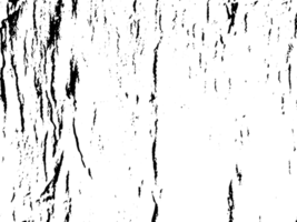 rustik grunge textur med spannmål och fläckar. abstrakt ljud bakgrund. png grafisk illustration med transparent bakgrund.