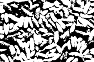 Rustic grunge texture with grain and stains. Abstract noise background. PNG graphic illustration with transparent background.