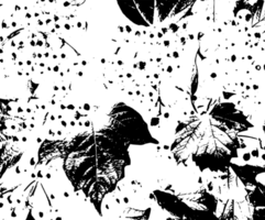Rustic grunge texture with grain and stains. Abstract noise background. PNG graphic illustration with transparent background.