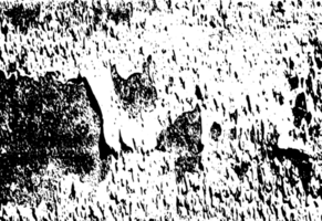 Rustic grunge texture with grain and stains. Abstract noise background. PNG graphic illustration with transparent background.