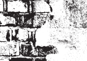 rustik grunge textur med spannmål och fläckar. abstrakt ljud bakgrund. png grafisk illustration med transparent bakgrund.