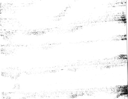 Grunge dots and points texture background. Abstract grainy overlay. PNG graphic illustration with transparent background.