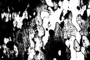 Rustic grunge texture with grain and stains. Abstract noise background. PNG graphic illustration with transparent background.