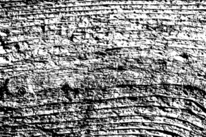 Rustic grunge texture with grain and stains. Abstract noise background. PNG graphic illustration with transparent background.