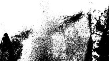 Rustic grunge texture with grain and stains. Abstract noise background. PNG graphic illustration with transparent background.