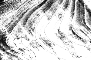 Rustic grunge texture with grain and stains. Abstract noise background. PNG graphic illustration with transparent background.
