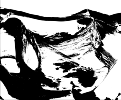 Rustic grunge texture with grain and stains. Abstract noise background. PNG graphic illustration with transparent background.