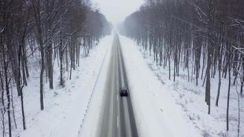 parte superior ver de tráfico en un la carretera rodeado por invierno bosque. escénico invierno paisaje video