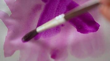 dibujo con un Cepillo de pintura en blanco papel con púrpura acuarela de cerca. textura y antecedentes video
