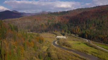 Aerial view of autumn mountain landscape - yellow forest, river, railway bridge and traffic on the road video