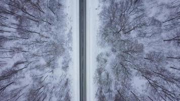 superiore Visualizza di traffico su un' strada circondato di inverno foresta. panoramico inverno paesaggio video