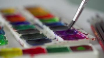 Brush takes different colors of watercolor paints from a palette and mixes them close-up video