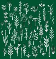 Set of rustic decorative plants. Decoration elements for design invitation, wedding and greeting cards vector