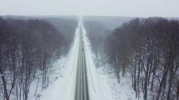 parte superior ver de tráfico en un la carretera rodeado por invierno bosque. escénico invierno paisaje video