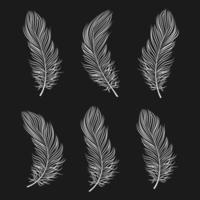 Set of white contour bird feathers on a black background, line art. Decor elements, vector