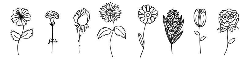 Flowers collection in outline doodle flat style. Set of simple floral element plant leaves decorative design. Hand drawn line art. For coloring. Vector illustration isolated on white background.