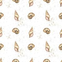Seashells seamless Pattern on isolated background. Hand drawn watercolor illustration of sea shells. Ornament with underwater spiral cockleshells. Backdrop for textile design wrapping paper vector
