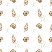 Seashells seamless Pattern on isolated background. Hand drawn watercolor illustration of sea shells. Ornament with underwater spiral cockleshells. Backdrop for textile design wrapping paper vector