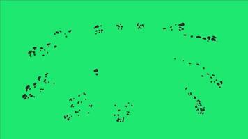 animiert schwarz Feuerwerk bewirken Streuung auf Grün Bildschirm video