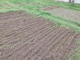 A field plowed by a cultivator for planting vegetables photo