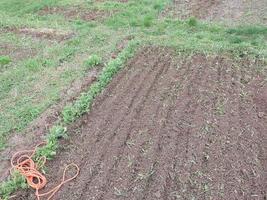 A field plowed by a cultivator for planting vegetables photo