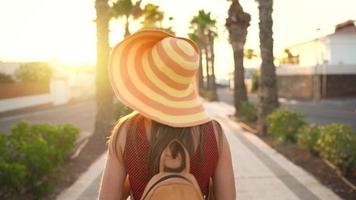 Fotograf Tourist Frau nehmen Fotos mit Kamera im ein schön tropisch Landschaft beim Sonnenuntergang video