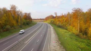 ver desde el altura en un brillante otoño bosque como un antecedentes video