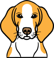 The dog face png image for pet or animal concept