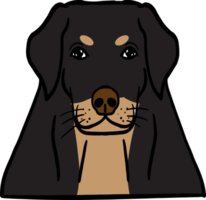 a cachorro face png imagem para animal ou animal conceito