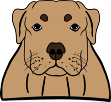 The dog face png image for pet or animal concept