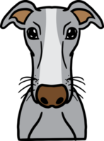 le chien visage png image pour animal de compagnie ou animal concept