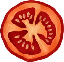 Frais tomate main dessiner clipart png