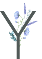 modern alfabet en aantal wilde bloemen waterverf png