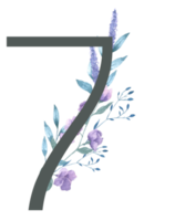 moderno alfabeto e numero Fiore di campo acquerello png