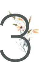 Modern Alphabet and number wildflower watercolor png